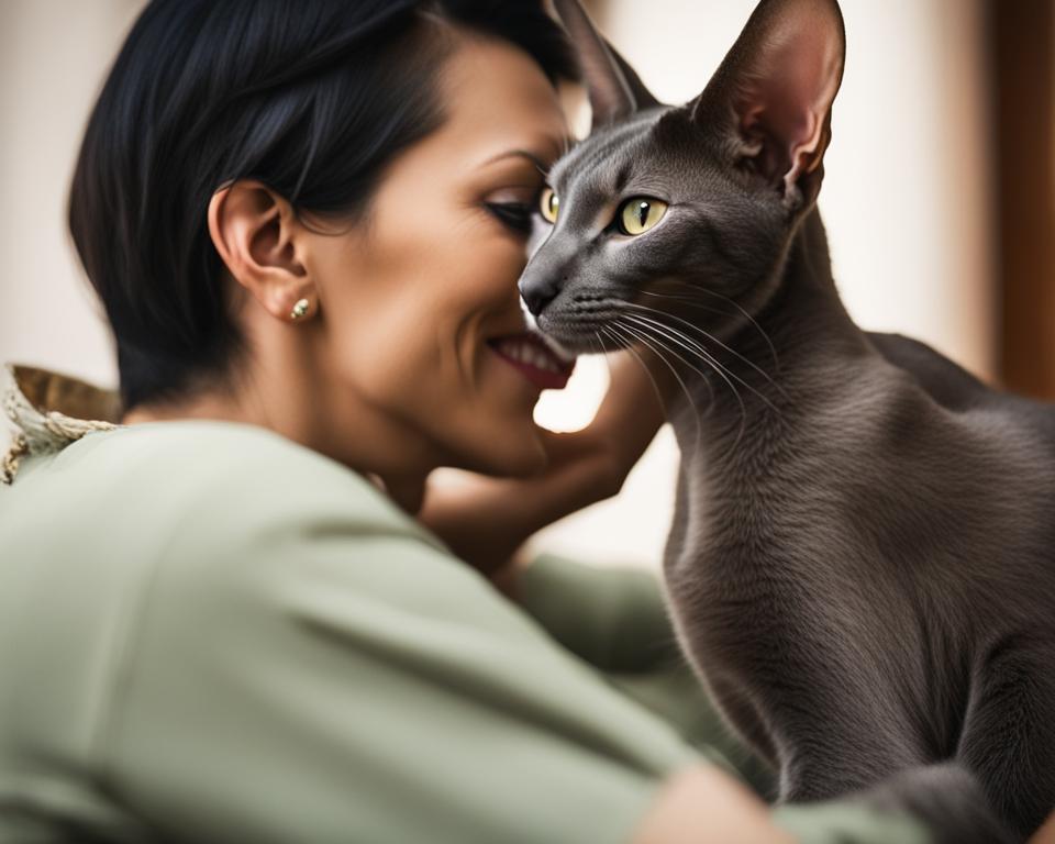 managing vocalization in oriental shorthair cats