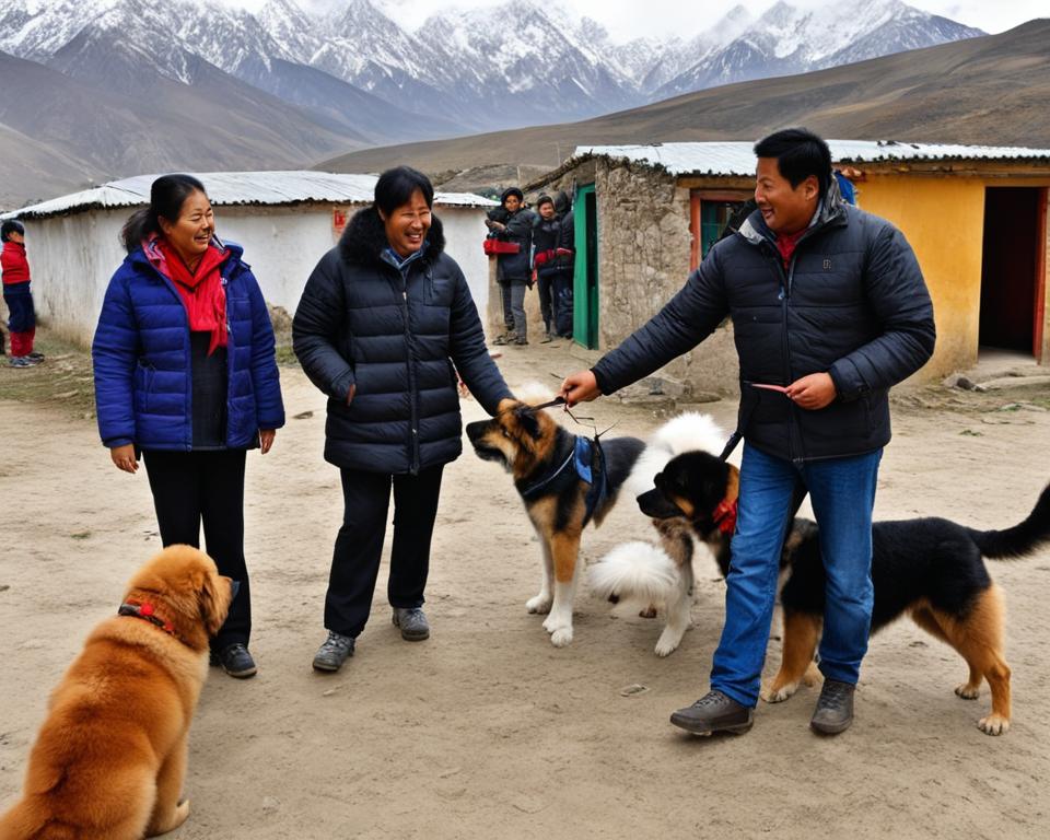 Tibetan Mastiff adoption